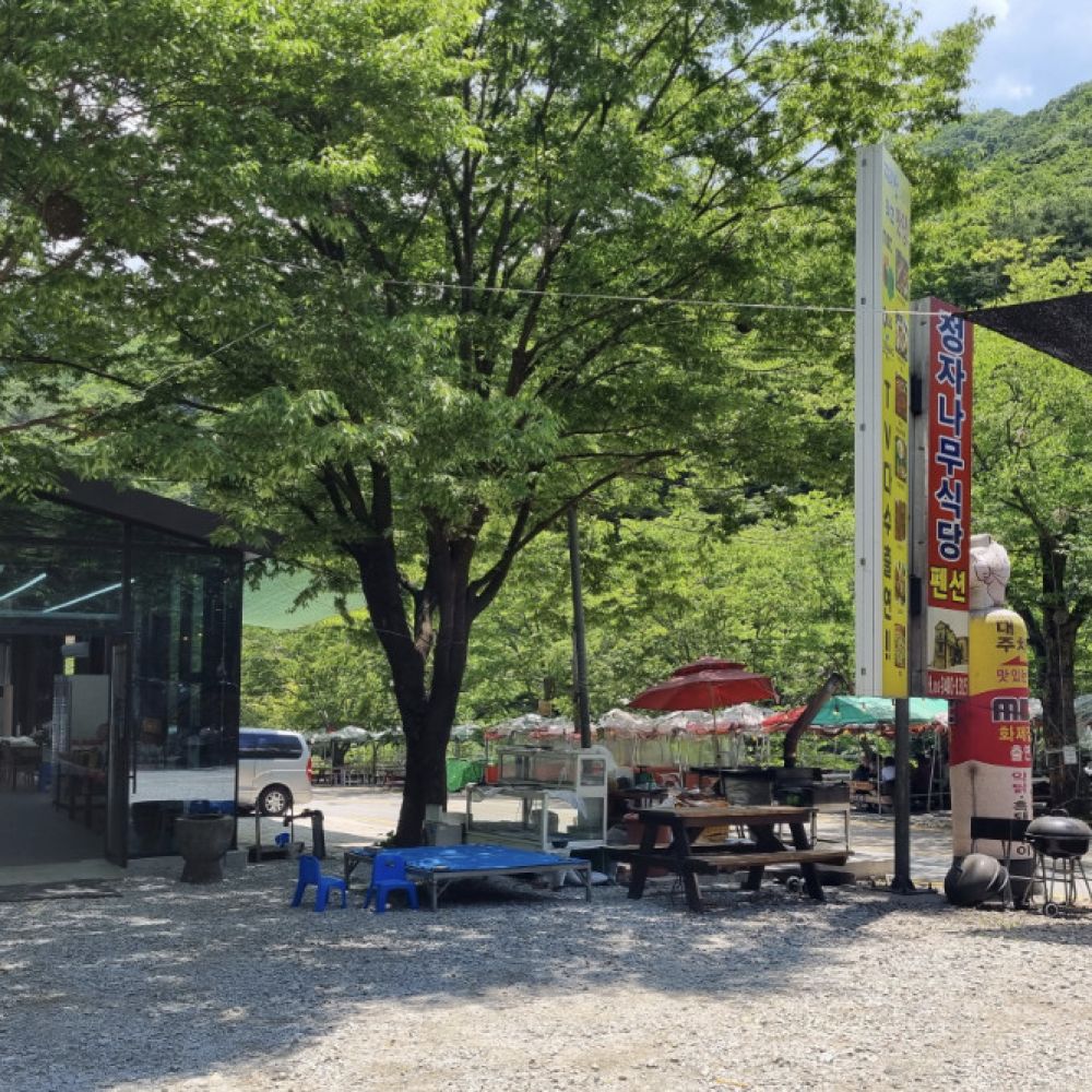식당보기