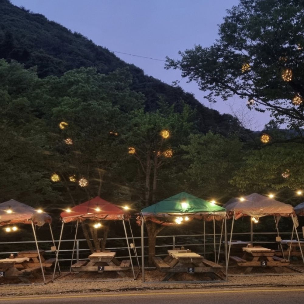 식당보기